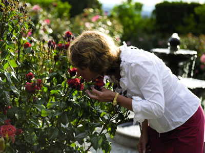Garden Photo